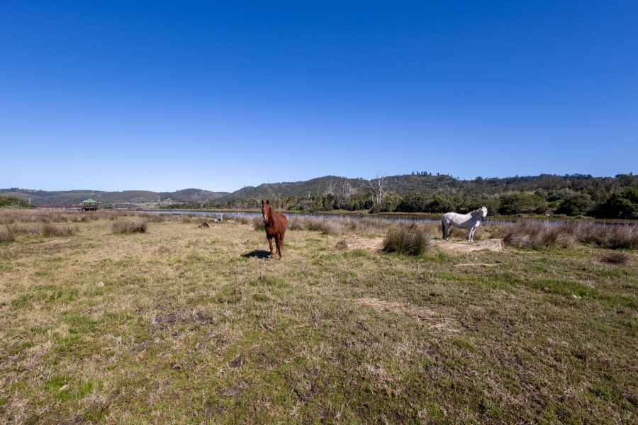 Commercial Property for Sale in Eastford Western Cape